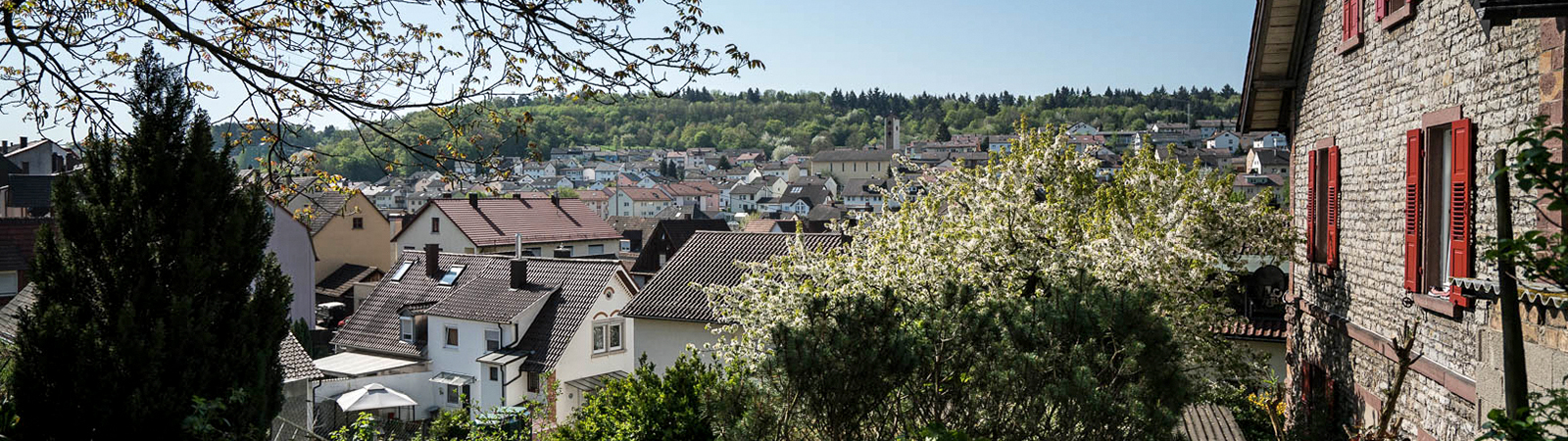Blick über Ispringen