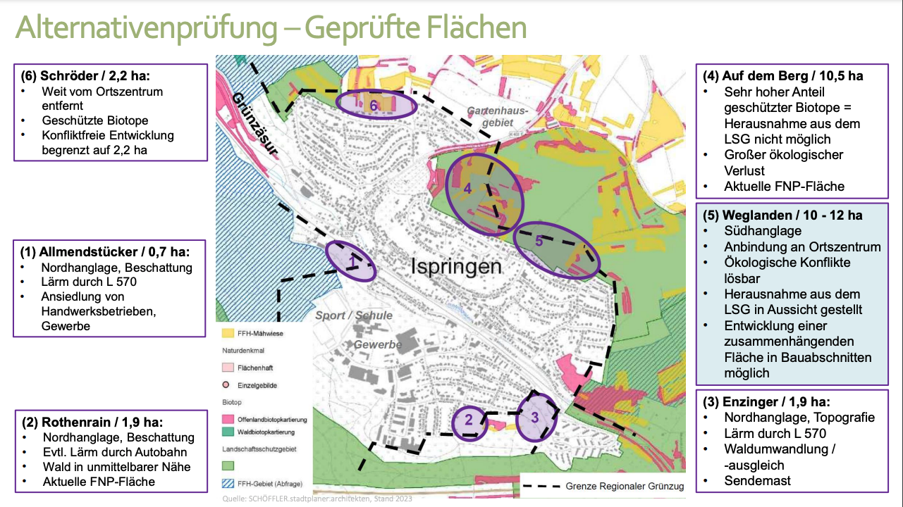 Abbildung der Alternativenprüfung